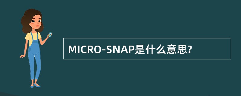 MICRO-SNAP是什么意思?