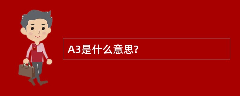 A3是什么意思?