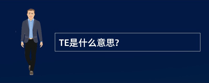 TE是什么意思?