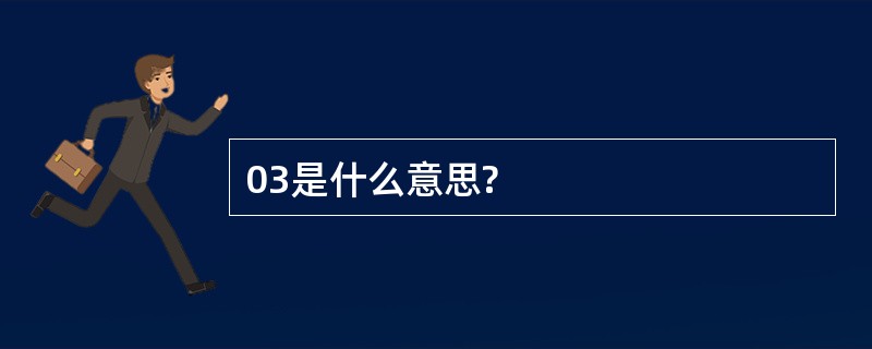 03是什么意思?