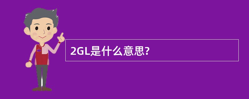 2GL是什么意思?