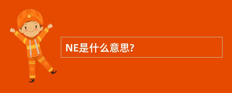 NE是什么意思?