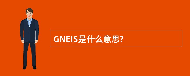 GNEIS是什么意思?