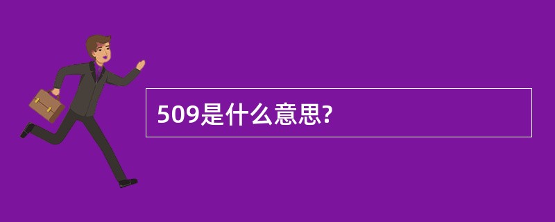 509是什么意思?