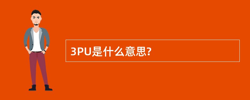 3PU是什么意思?