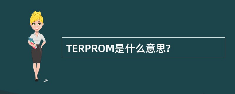 TERPROM是什么意思?