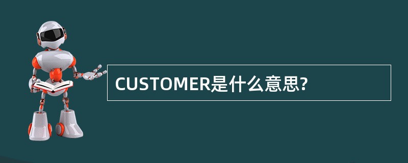 CUSTOMER是什么意思?