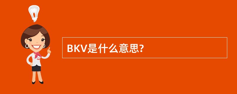 BKV是什么意思?