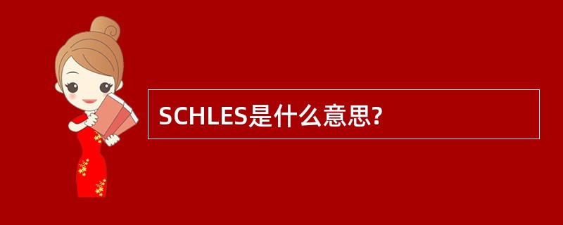 SCHLES是什么意思?