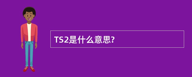 TS2是什么意思?