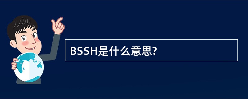 BSSH是什么意思?