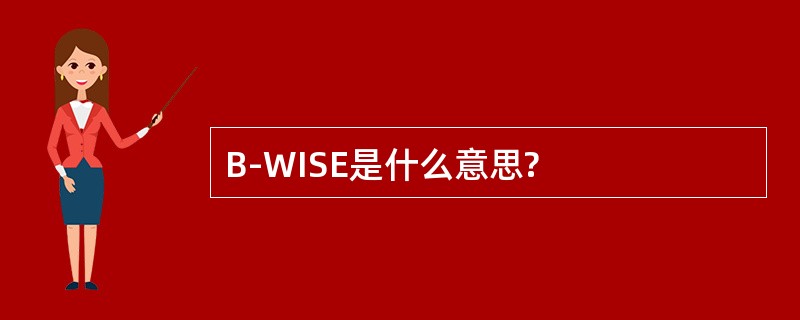 B-WISE是什么意思?