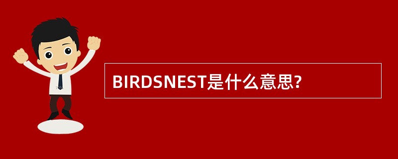 BIRDSNEST是什么意思?