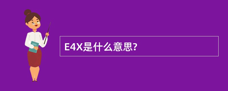 E4X是什么意思?