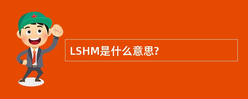 LSHM是什么意思?