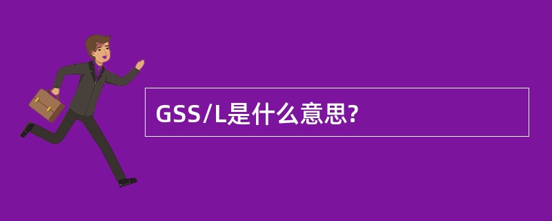 GSS/L是什么意思?