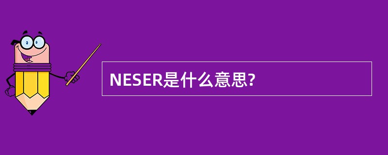 NESER是什么意思?