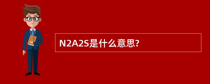 N2A2S是什么意思?