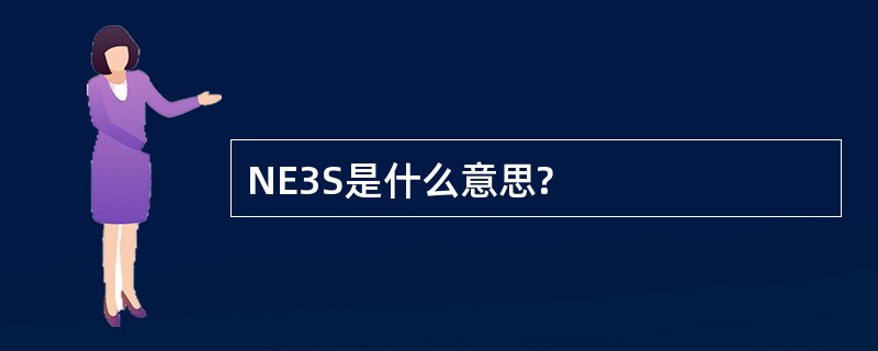 NE3S是什么意思?