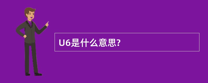 U6是什么意思?