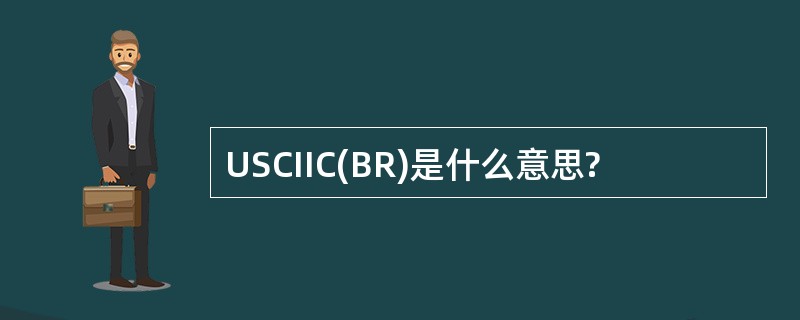 USCIIC(BR)是什么意思?