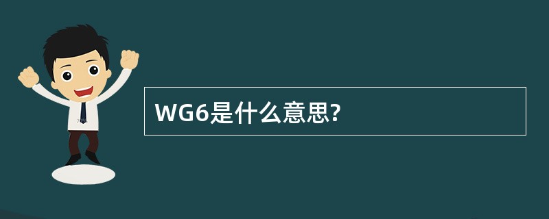 WG6是什么意思?