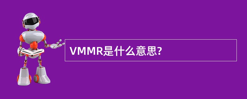 VMMR是什么意思?