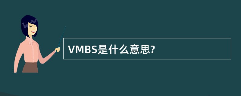 VMBS是什么意思?