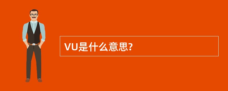 VU是什么意思?