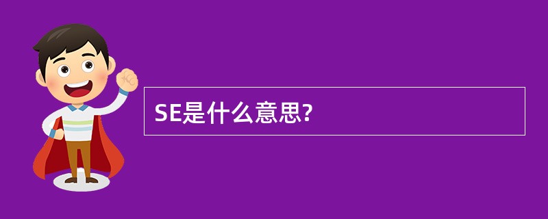 SE是什么意思?