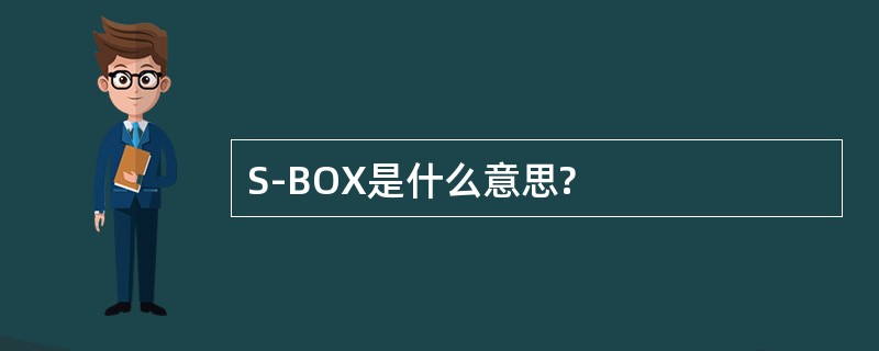 S-BOX是什么意思?