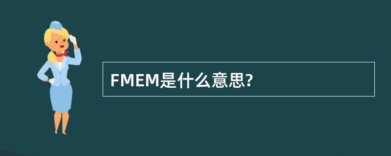 FMEM是什么意思?