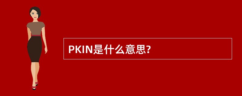 PKIN是什么意思?