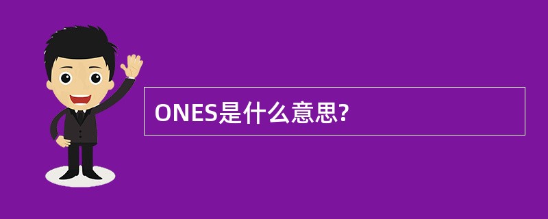 ONES是什么意思?