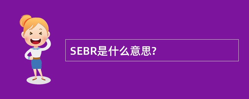 SEBR是什么意思?