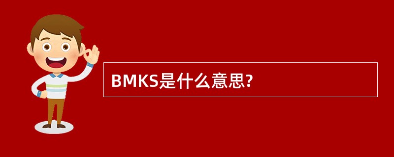 BMKS是什么意思?