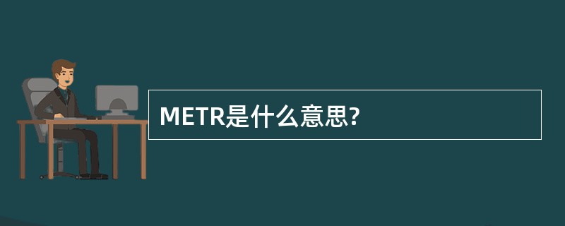 METR是什么意思?