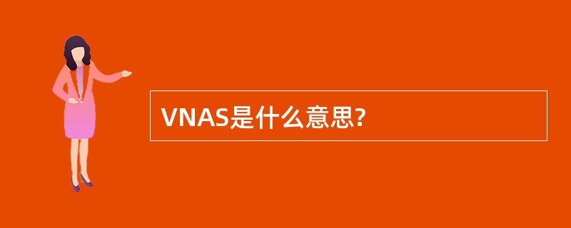 VNAS是什么意思?