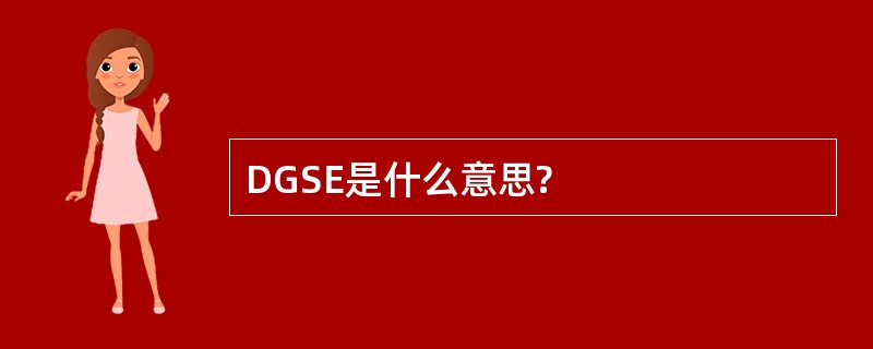 DGSE是什么意思?