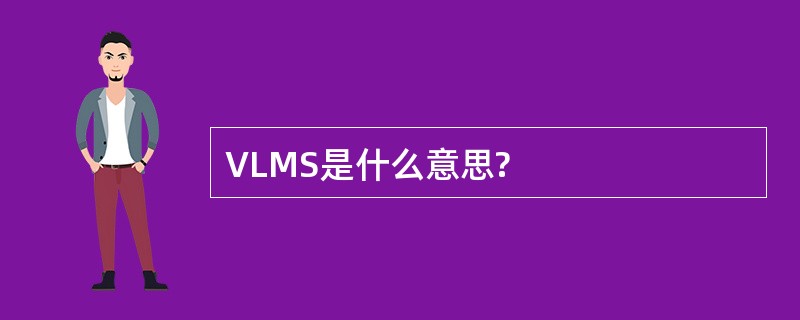 VLMS是什么意思?