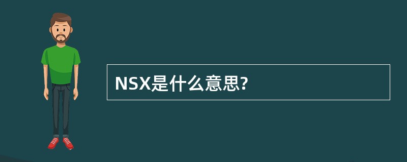 NSX是什么意思?