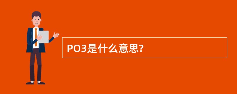 PO3是什么意思?