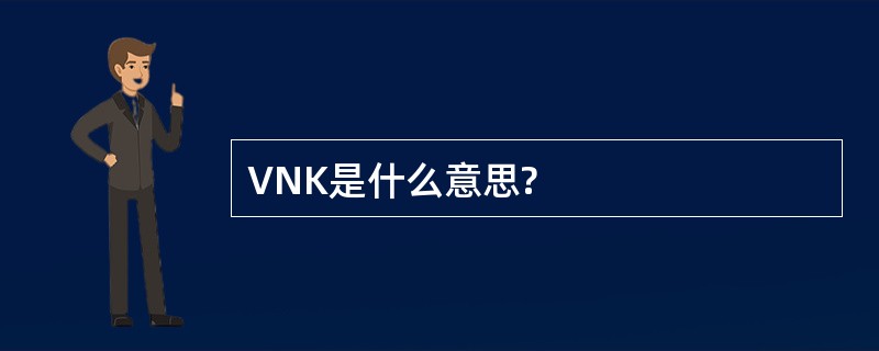 VNK是什么意思?