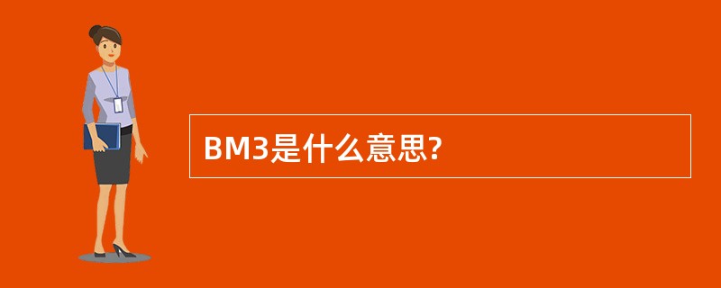 BM3是什么意思?