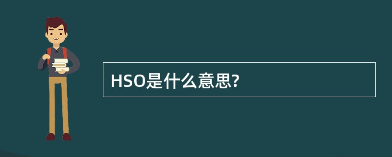 HSO是什么意思?