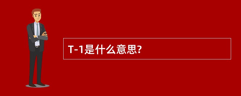 T-1是什么意思?