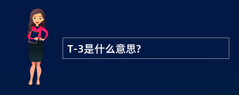 T-3是什么意思?