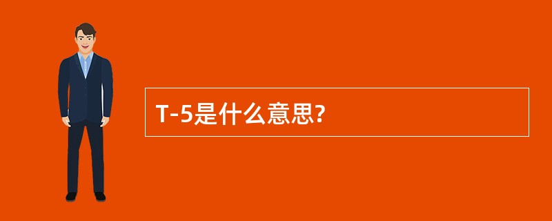 T-5是什么意思?