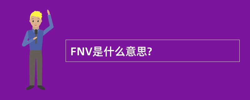 FNV是什么意思?