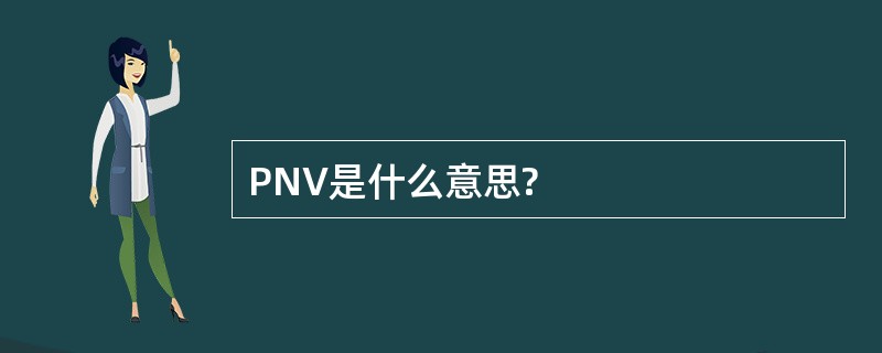 PNV是什么意思?